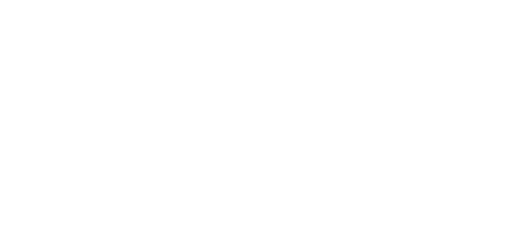BIPS — Bogucki Imaging + Photographic Services